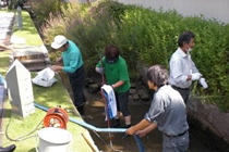 白山ホタルの路の水路清掃